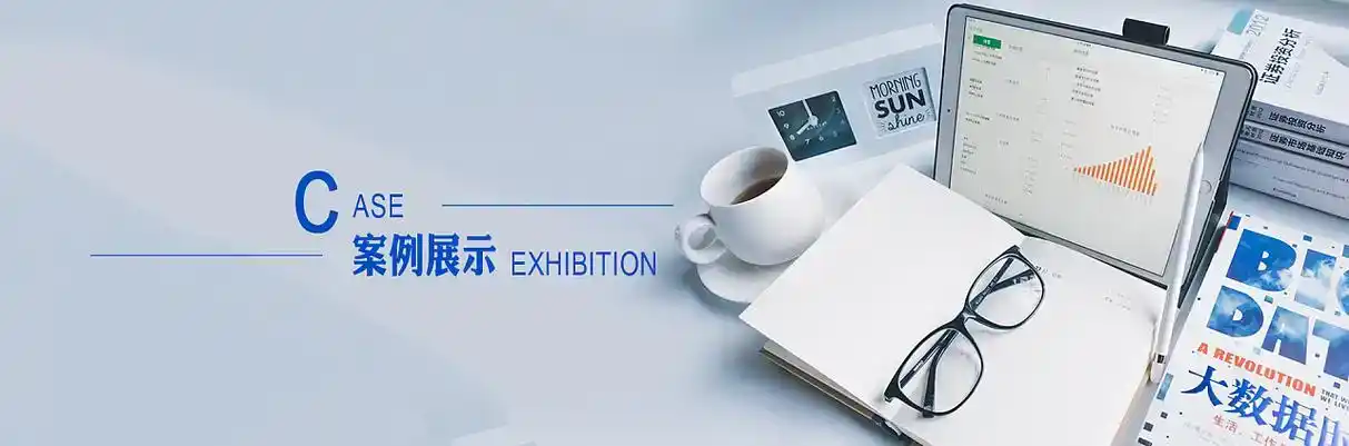 阿克塞哈萨克族自治县软件开发